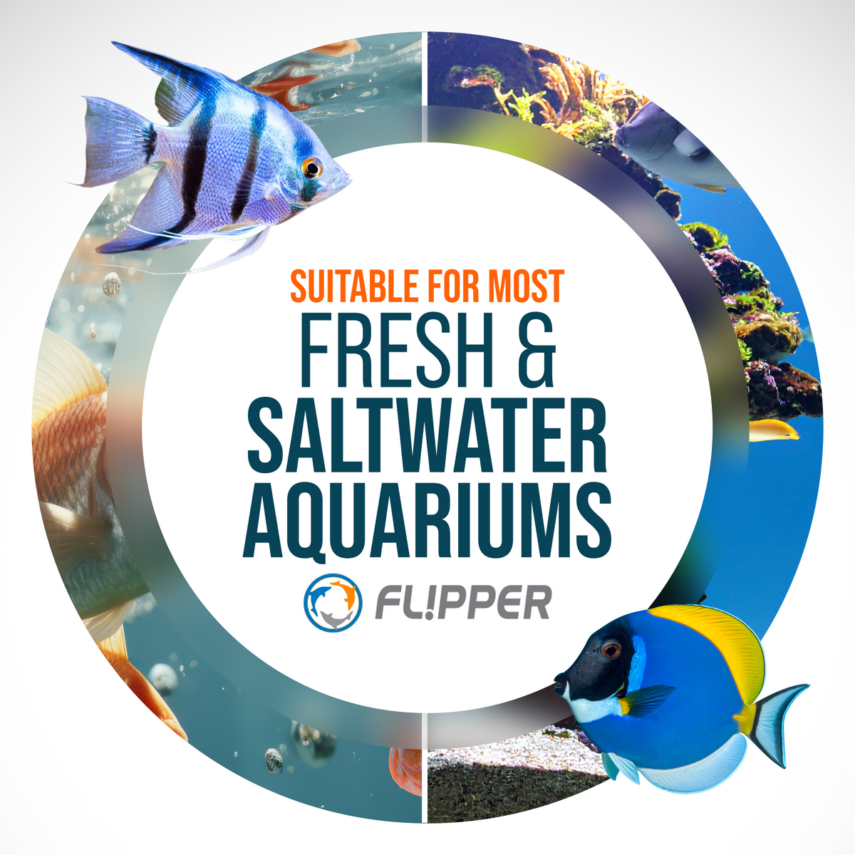 Flipper Platinum Aquarium Algae Scraper - 10"
