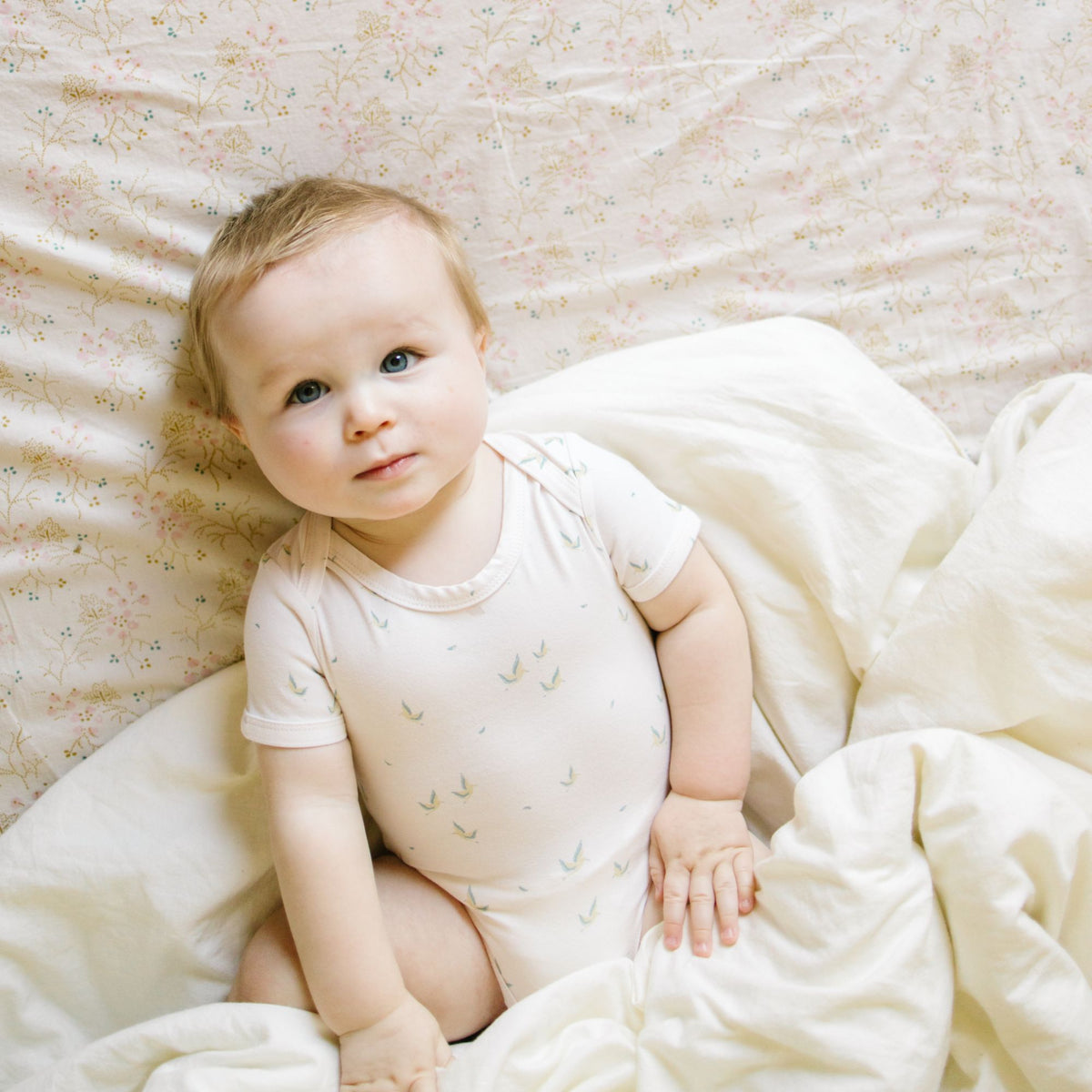 Baby Boy Short Sleeve Pk